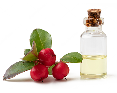 Wintergreen Oil