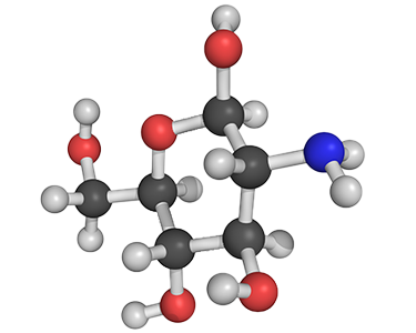 Glucosamine