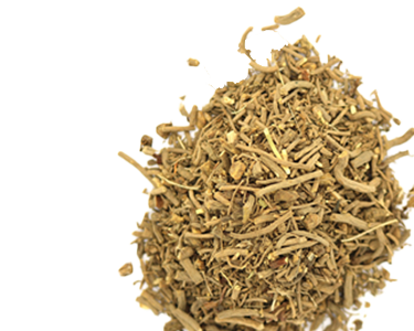 Valerian Root