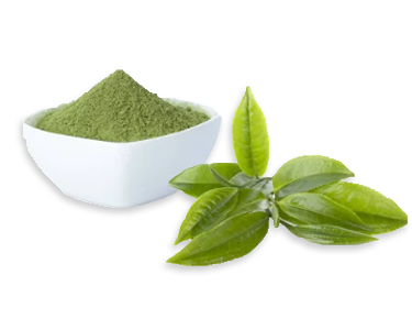 Camelia Sinensis (Green Tea) Extract