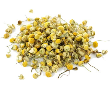 Chamomilla Matricaria (Chamomile) Extract