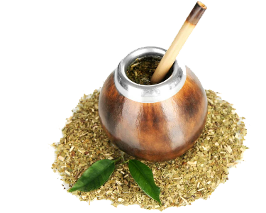 Ilex Paraguariensis (Yerba Mate) Extract